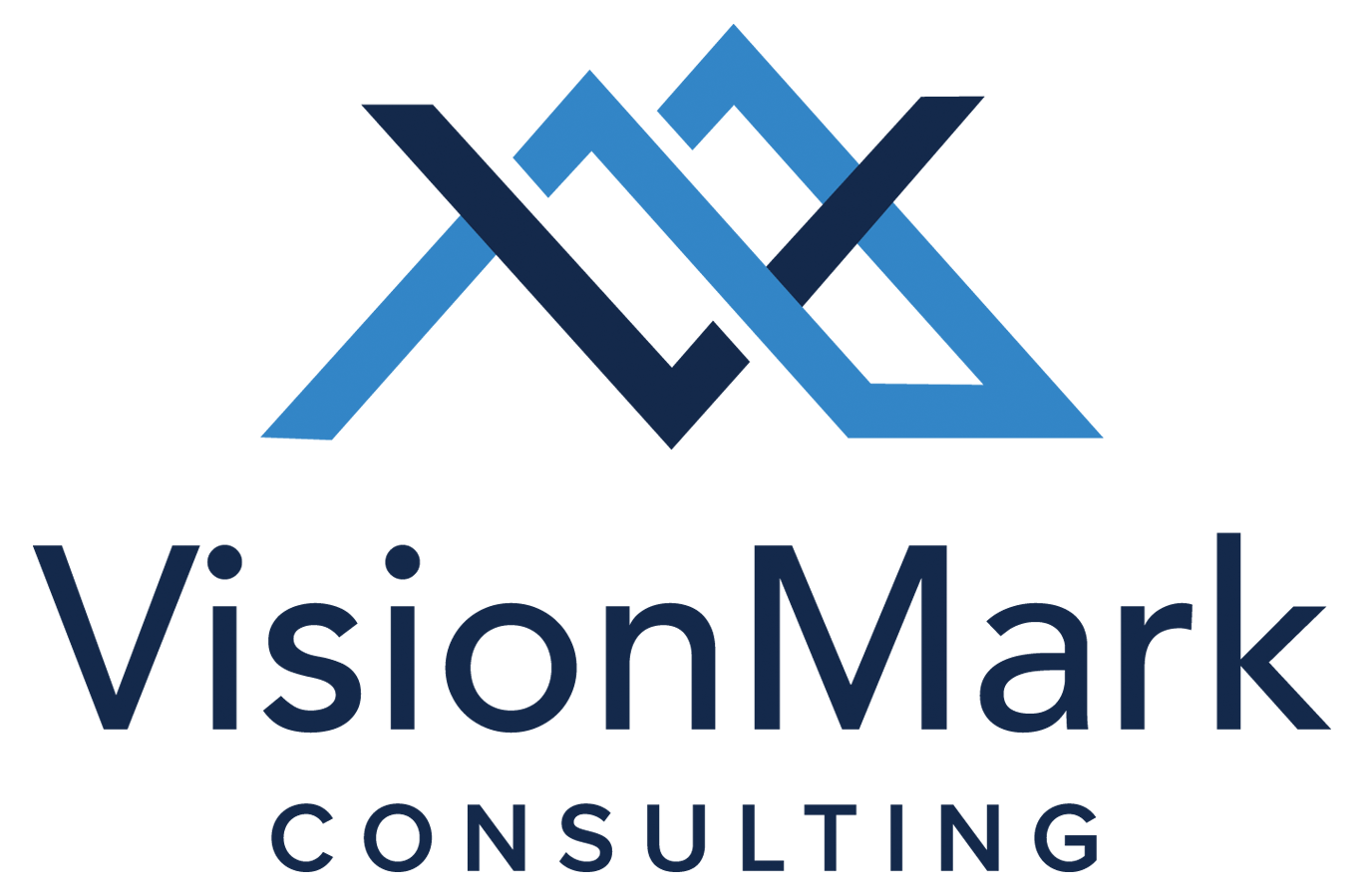Visionmark logo 052323