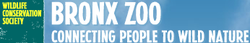 Sponsorpitch & Bronx Zoo