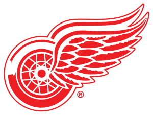Sponsorpitch & Detroit Red Wings