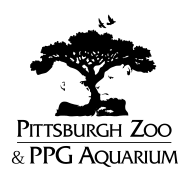 Sponsorpitch & Pittsburgh Zoo & PPG Aquarium