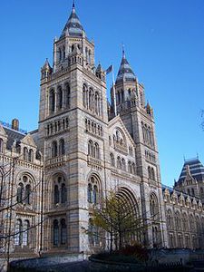 Sponsorpitch & Natural History Museum (London)