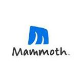 Sponsorpitch & Mammoth Mountain