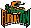 Sponsorpitch & Florida A&M Rattlers
