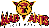 Sponsorpitch & Fort Wayne Mad Ants