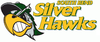 Sponsorpitch & South Bend Silver Hawks