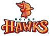 Sponsorpitch & Boise Hawks