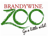 Sponsorpitch & Brandywine Zoo