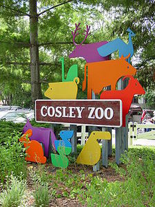 Sponsorpitch & Cosley Zoo