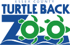 Sponsorpitch & Turtle Back Zoo