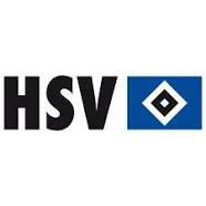 Sponsorpitch & Hamburger SV