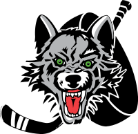 Sponsorpitch & Chicago Wolves