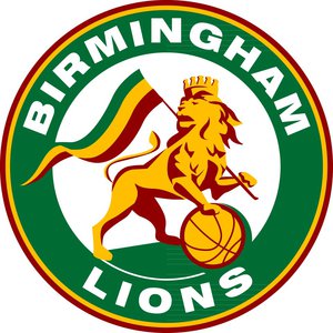 Sponsorpitch & Birmingham Lions Basketball Club