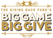 Sponsorpitch & Big Game Big Give