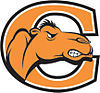 Sponsorpitch & Campbell Fighting Camels