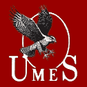 Sponsorpitch & UMES Hawks