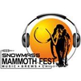 Sponsorpitch & Snowmass Mammoth Fest
