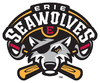 Sponsorpitch & Erie Seawolves