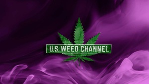 Sponsorpitch & U.S. Weed Channel