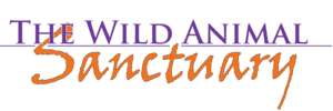 Sponsorpitch & The Wild Animal Sanctuary