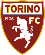 Sponsorpitch & Torino FC