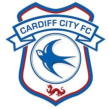 Sponsorpitch & Cardiff City FC