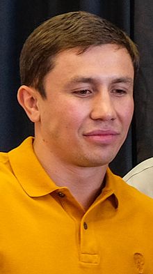 Gennady golovkin 2015
