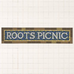 Sponsorpitch & Roots Picnic