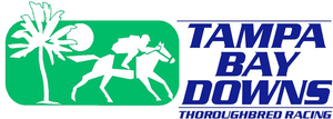 Sponsorpitch & Tampa Bay Downs