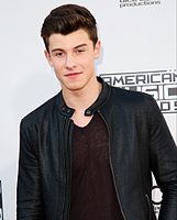 Shawn mendes american music awards 2015 01