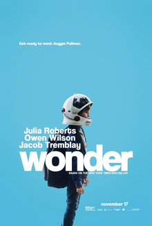 Wonder (film)