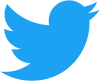 100px twitter bird logo 2012.svg