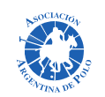 Sponsorpitch & Argentine Polo Open Championship