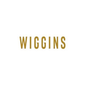 Sponsorpitch & Team Wiggins