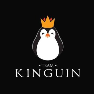 Sponsorpitch & Team Kinguin