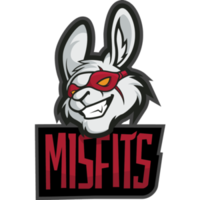 Team misfits logo