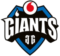 200px vodafone giants logo