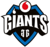 200px vodafone giants logo