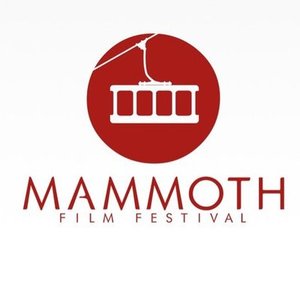 Sponsorpitch & Mammoth Film Festival