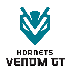 Sponsorpitch & Hornets Venom GT