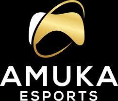Sponsorpitch & Amuka eSports