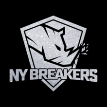Sponsorpitch & New York Breakers