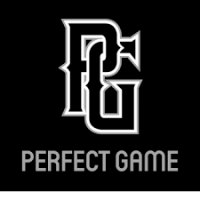 Sponsorpitch & Perfect Game