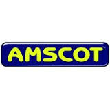 Sponsorpitch & Amscot Financial