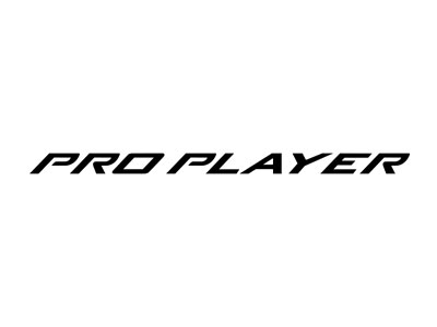Nets partners pro player400x300