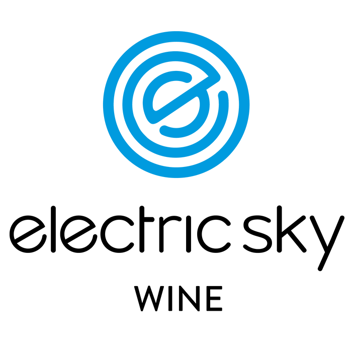 Mmf partner logo electric sky 2
