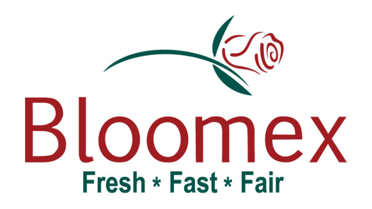 Bloomex logo f3 800px 739x415