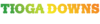 Tiogadowns logo 2017