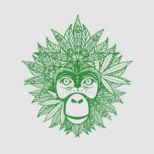 Sponsorpitch & Green Monkey CBD