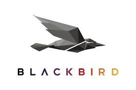 Sponsorpitch & Blackbird